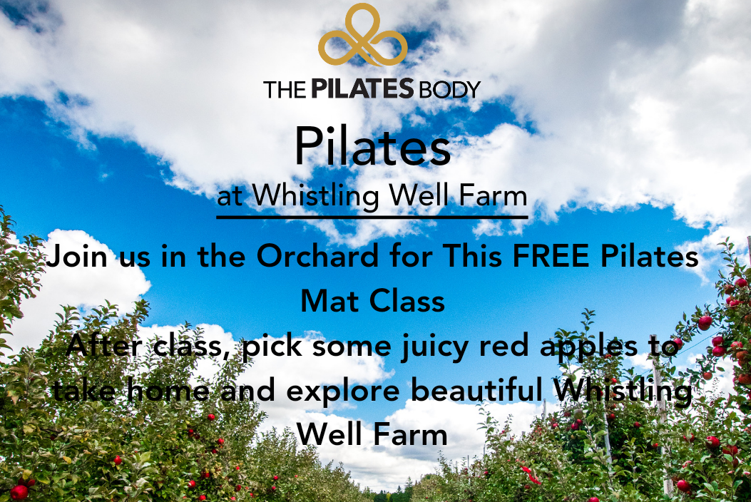 Pilates in the orchard